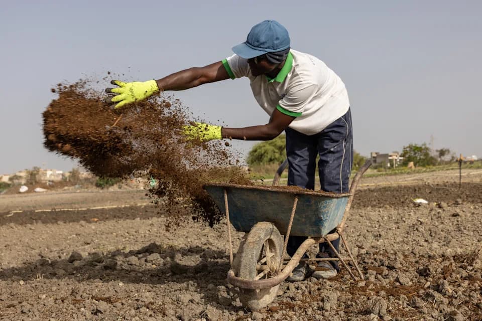 From Cow Dung to Compost: How the Iran Conflict Is Forcing Farmers to Rethink Fertilizers