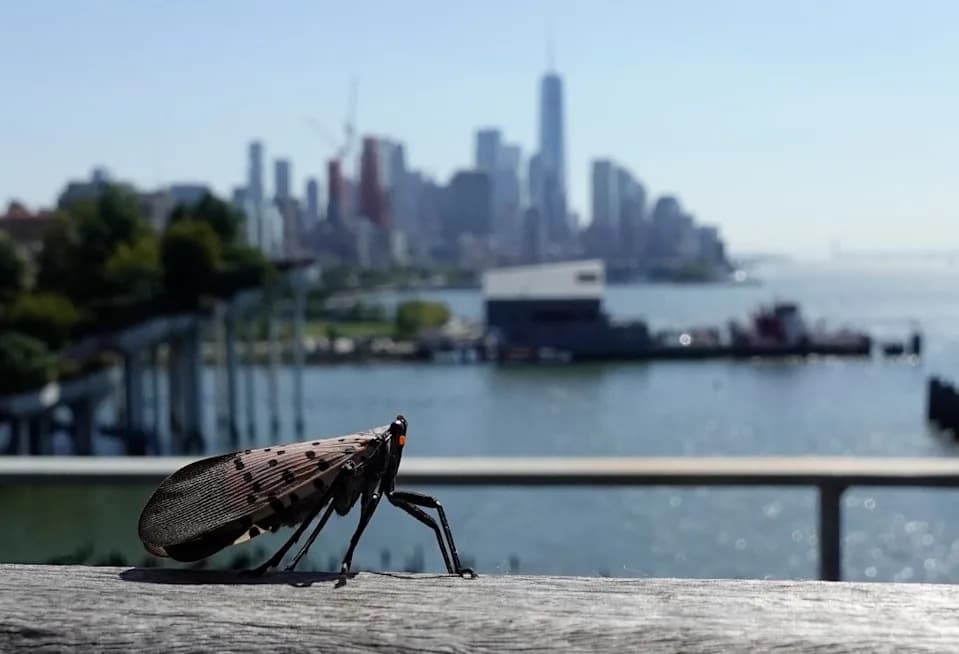 Invasive Species Are Reshaping U.S. Ecosystems in 2026 — Nearly 15,000 Non‑Native Records and Rising