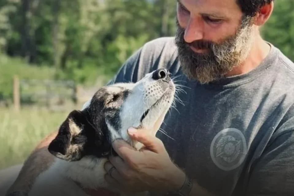 Veteran Urges Calm After Rescue Dog Lucy Seized — Launches #SaveLucy Campaign