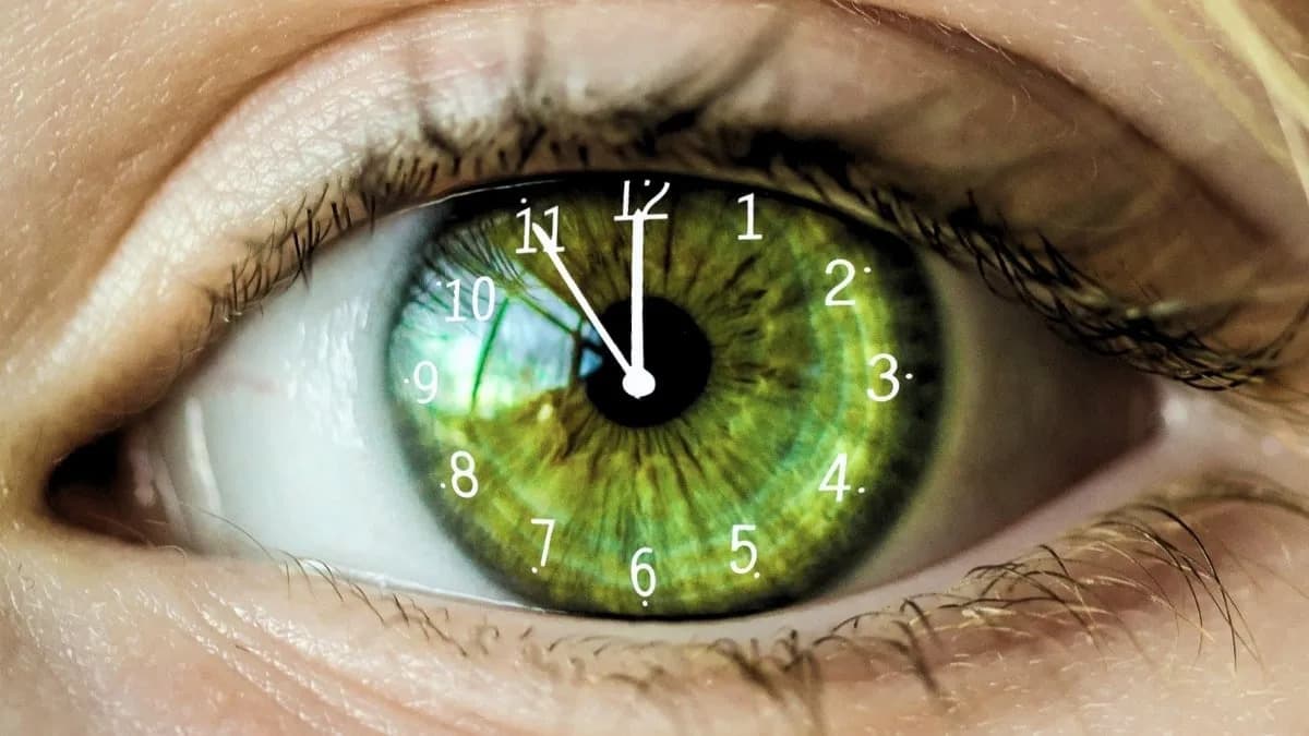 New Transcriptomic ‘Clock’ Estimates Lifespan and Tracks Chronic Disease Across Species