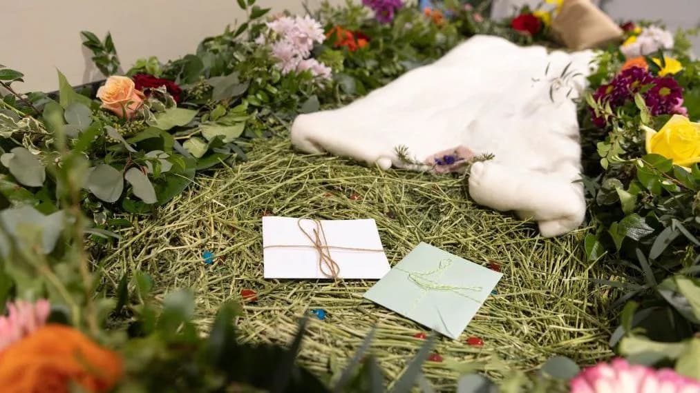 Law Commission Backs Human Composting and Water Cremation to Ease Burial Space Shortages