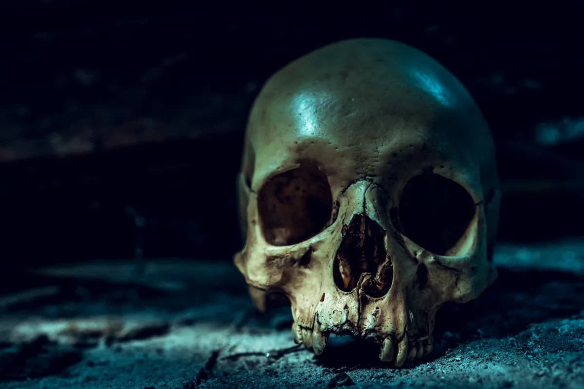 Human Skull Donated To Brooksville Thrift Store Prompts Investigation; Officials Seek Public Help