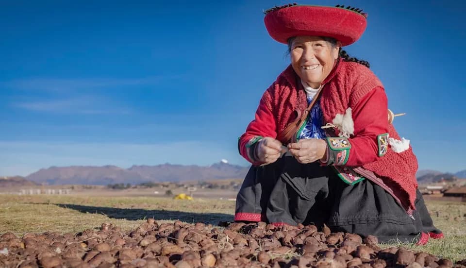 Ancient Potatoes, Modern Genes: Andeans Evolved Extra Amylase Copies for Better Starch Digestion