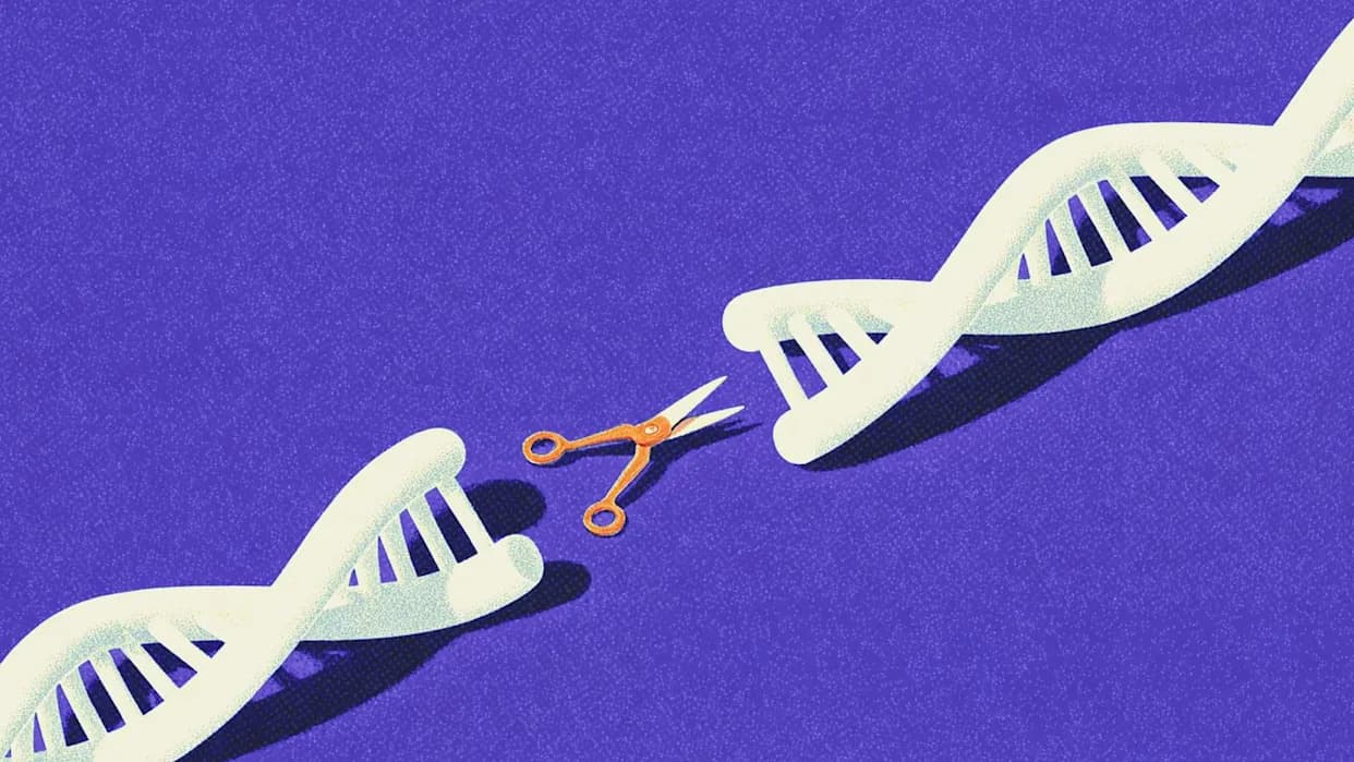 Precise Embryo Base-Editing Could Prevent Inherited Diseases — Promising but Not Clinic‑Ready