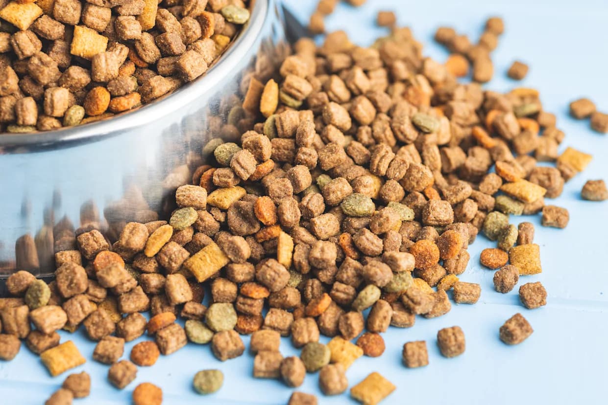 FDA Expands Recall of GO Raw Freeze-Dried and Frozen Pet Foods After Low Vitamin B1 Tests