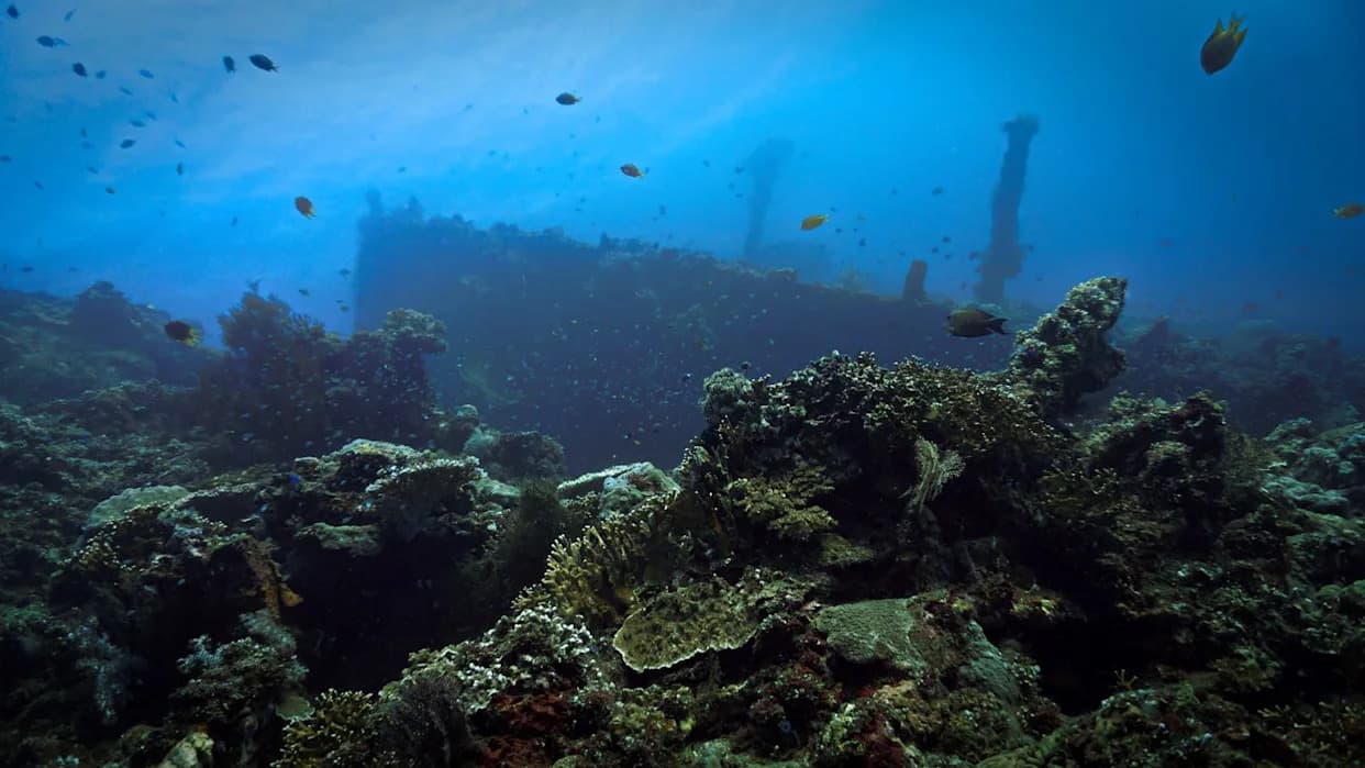 Divers Rediscover SS Samuel J. Tilden — Last Relic of WWII’s ‘Little Pearl Harbor’ Off Bari