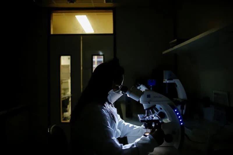 Century-Old BCG Vaccine Reprograms Immune Cells, Dramatically Improves Blood Sugar in Long-Standing Type 1 Diabetes