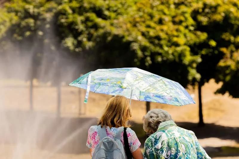 Europe Must Act Now to Shield Citizens From Extreme Heat, WHO Warns