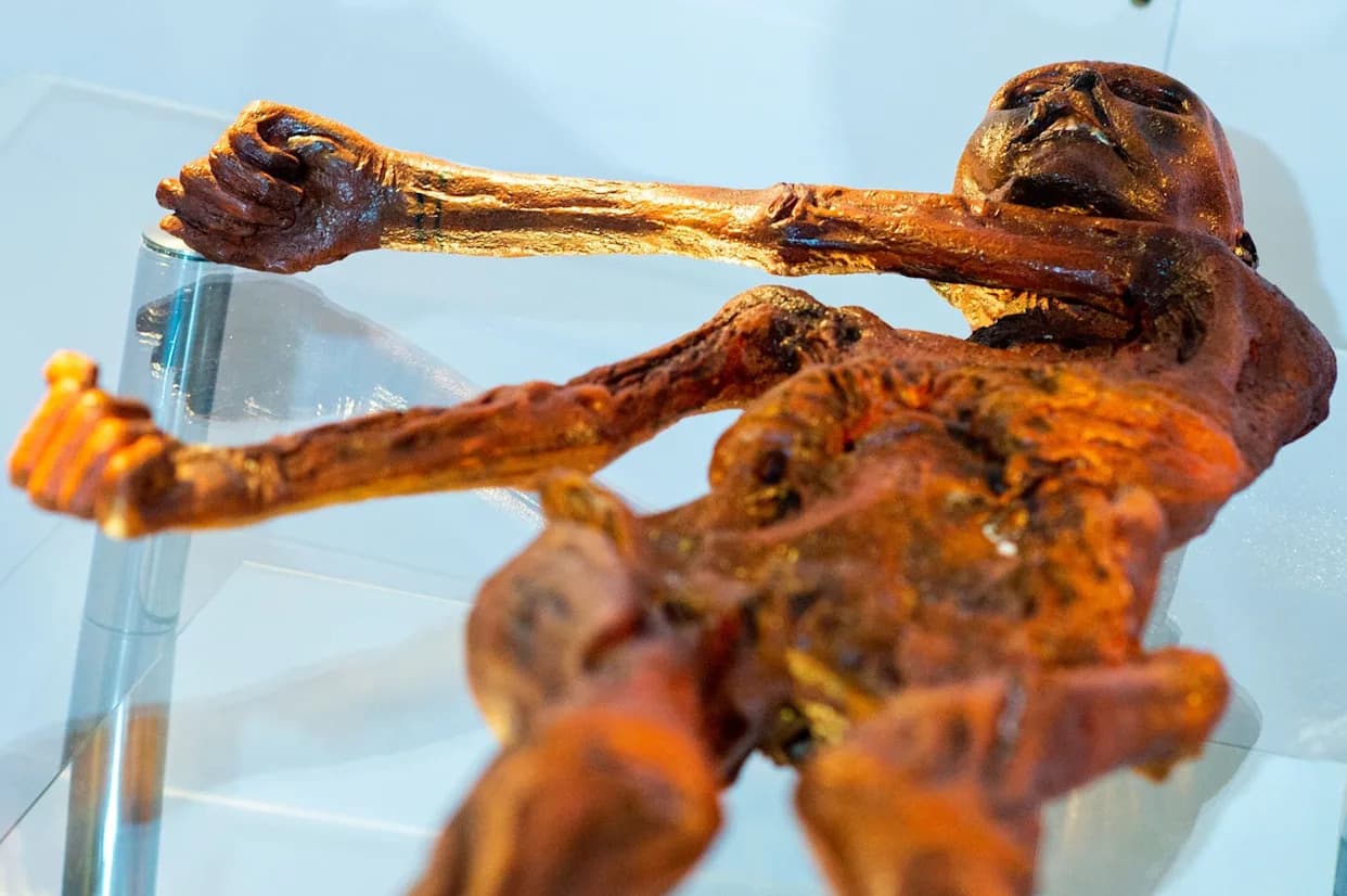 Living Yeasts Found on Ötzi: 5,300-Year-Old Mummy Harbors Cold-Loving Microbes