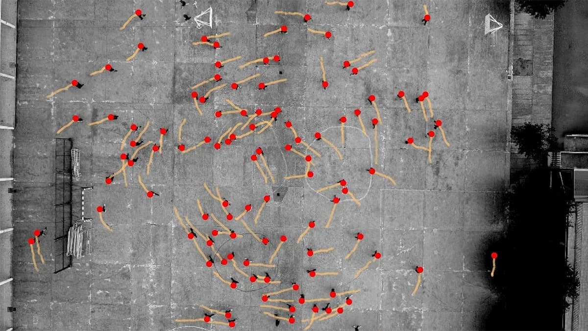 Why Humans Tend To Turn Left: Global Study Finds A Small But Significant Counterclockwise Bias
