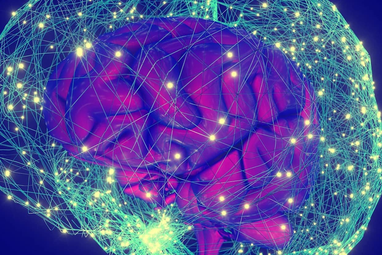 The Brain’s “Dark Matter”: How Astrocytes Could Rewrite Our Ideas About Consciousness, Behavior and Decision-Making