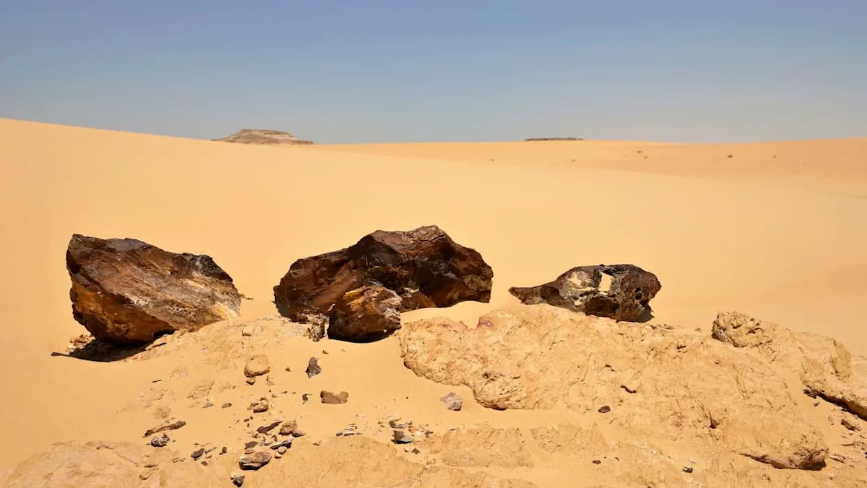 Rare Sahara Meteorite May Be Fragment of a Lost Protoplanet — Evidence Points to a Moon-Scale Parent Body