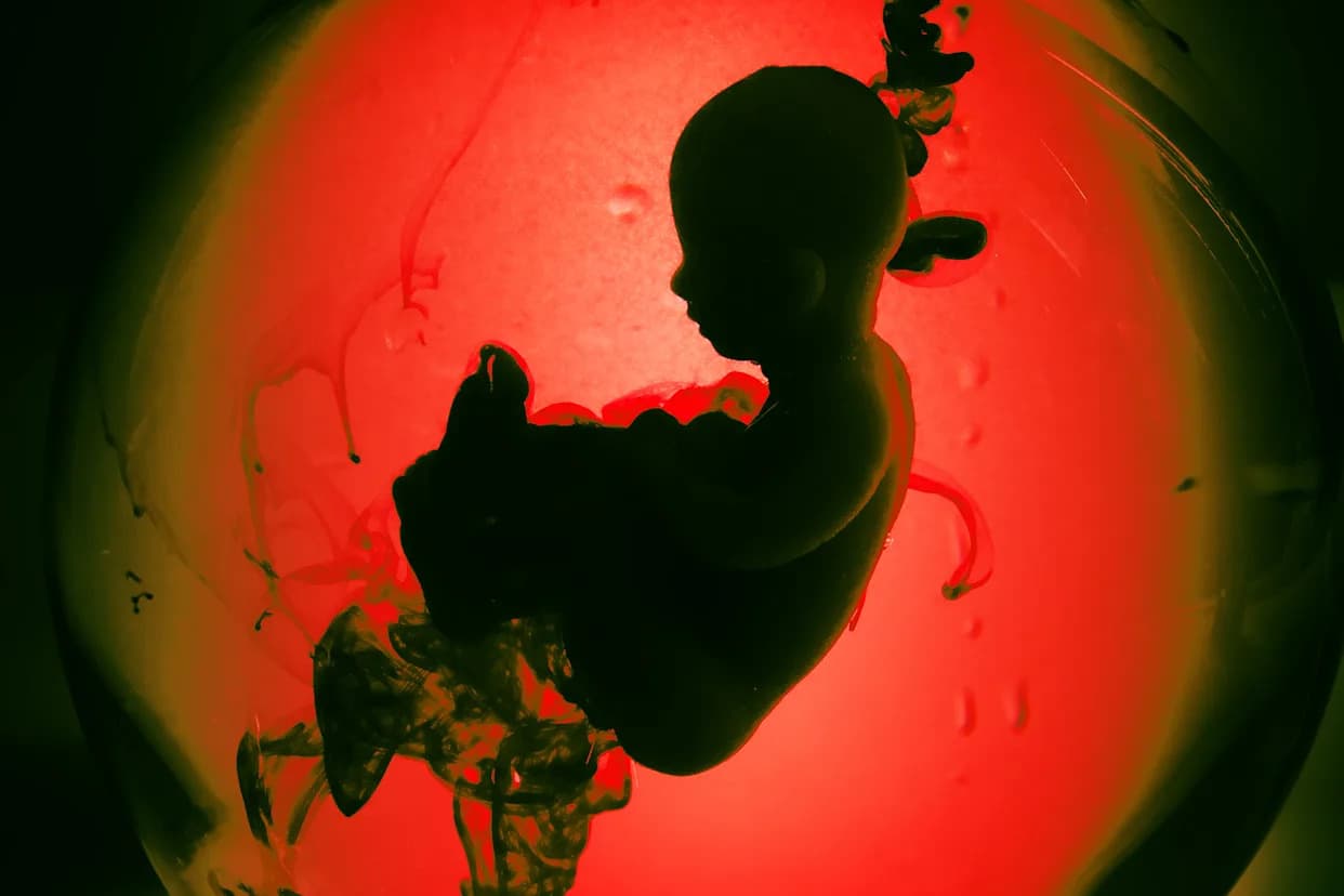 New Base-Editing of Human Zygotes Sparks Fears It Could "Open the Floodgates"