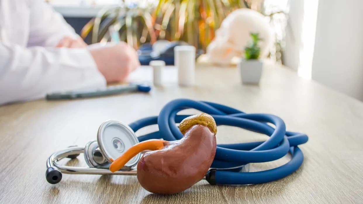 Finerenone Slows Kidney Decline in Non‑Diabetic CKD Patients, NEJM Trial Finds