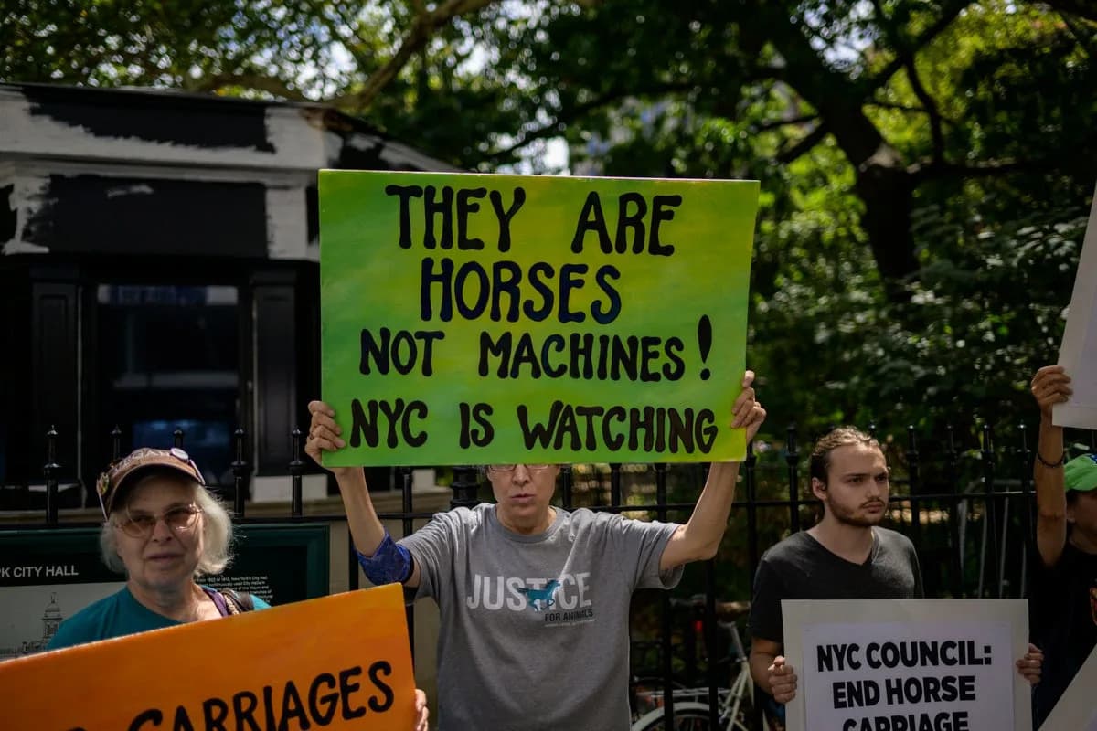 Necropsy: Toxic Japanese Yew Killed Central Park Carriage Horse Deniz