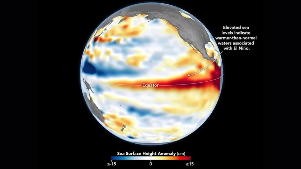 NASA Satellite Reveals Massive Kelvin Wave Hundreds of Miles Long as El Niño Intensifies