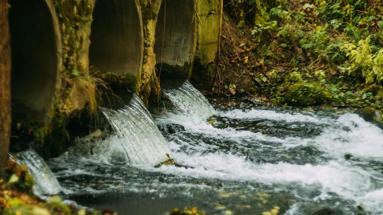 Watchdog: Northern Ireland’s Environmental Plan Largely Off Track — Urgent Delivery Needed