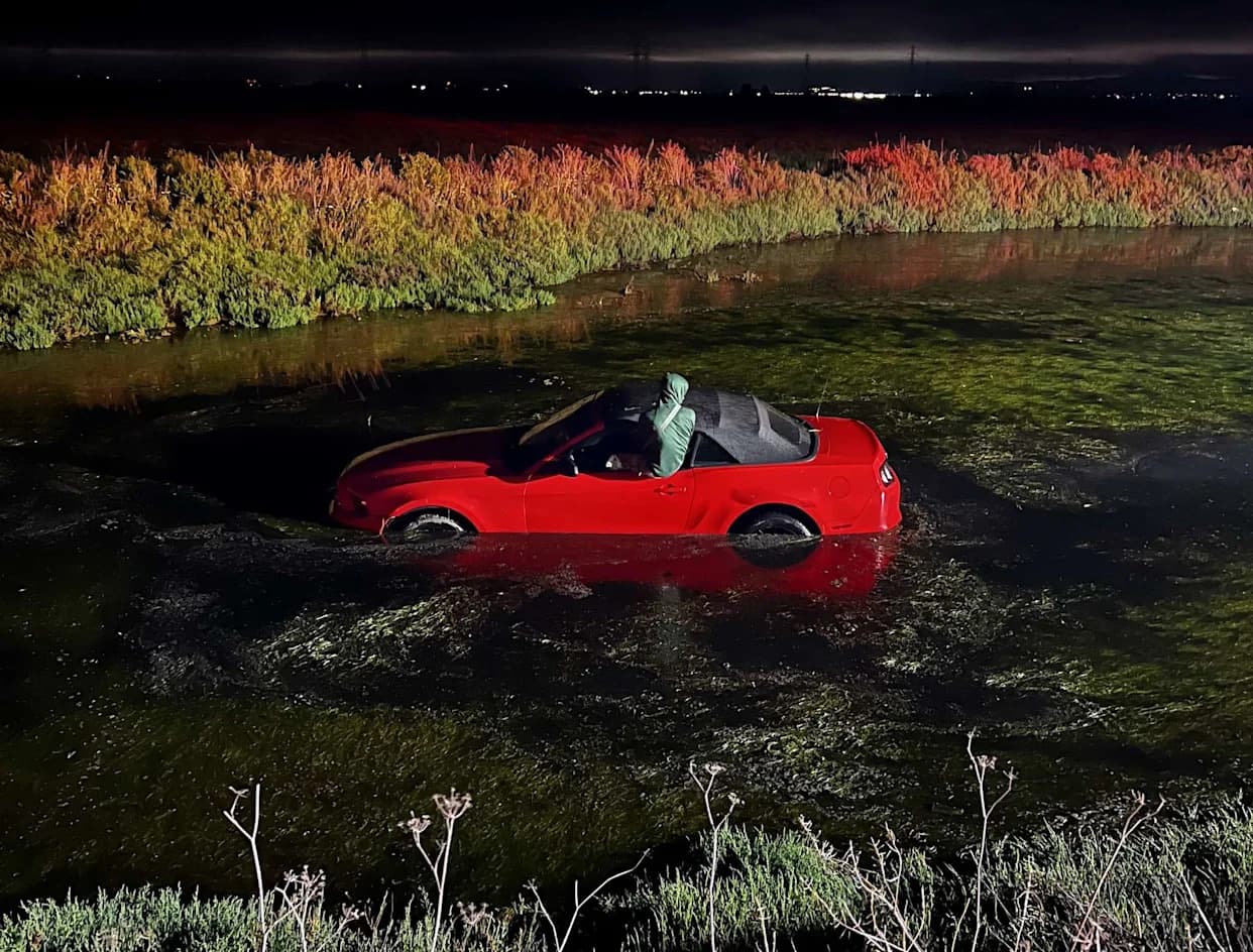 Drunk Driver’s Mustang Lands in Pond — Chaotic Ladder Rescue Captured on Camera