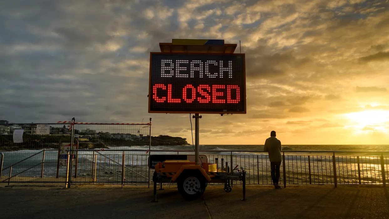 Great White Shark Spotted Near Surfers, Forcing Bondi Beach Evacuation