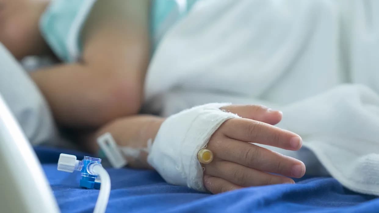 Powassan Virus Surges in New England — Traced Back to a 1958 Ontario Child Death