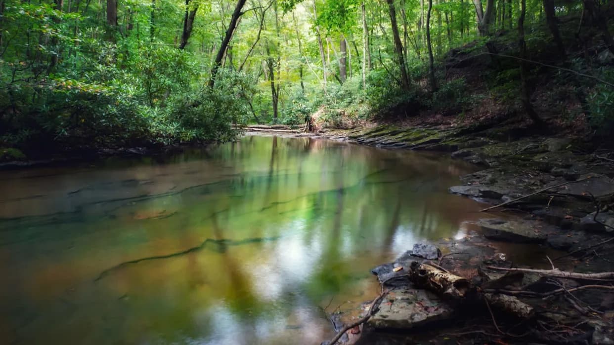 Pennsylvania Weighs Permit to Discharge Treated Mine Water Into Trout Headwaters — Public Comment Closes June 30