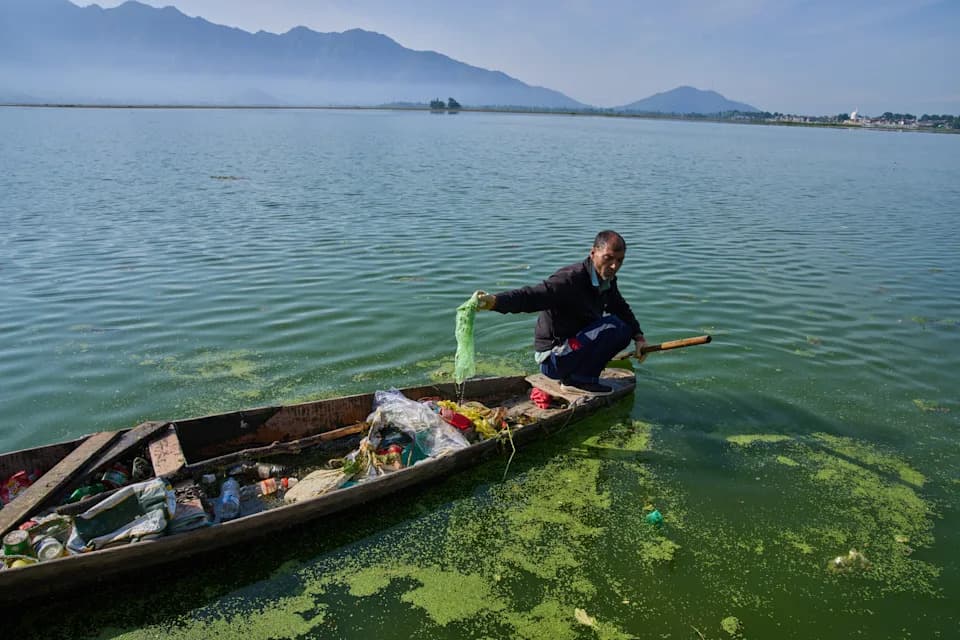 Kashmir’s Lakes Are Disappearing — Pollution, Invasive Weeds and Warming Threaten Dal and Wular