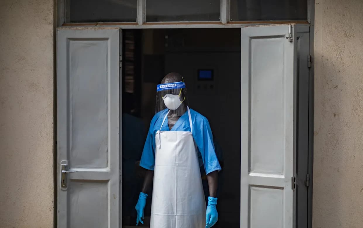 Toddler Dies in Marburg Outbreak in Western Uganda — Officials Investigate Possible Bat "Spillover"