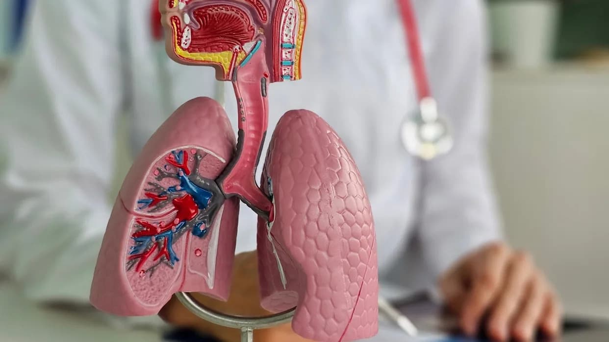 Median Technologies' AI Tool eyonis LCS Secures CE Marking, Expanding Lung Cancer Screening in Europe