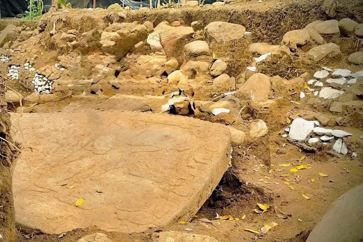 Archaeologists Uncover 1,400-Year-Old Veracruz Settlement With Maya-Like Stela and Charred Maize