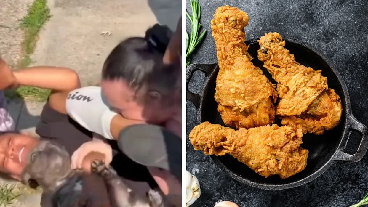 Viral Video Shows Woman Biting Another’s Leg — Viewers Most Worried About the Dog