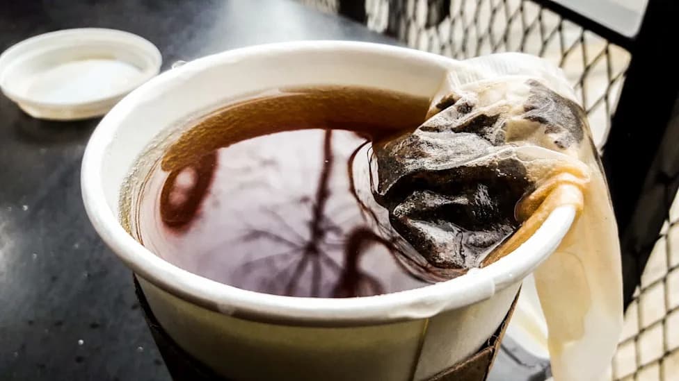 Hot Tea Tops Microplastic Counts — Disposable Cups and Some Tea Bags Add More