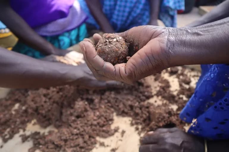Saving Shea: A Ugandan Woman Turns Waste Into Clean Cooking Fuel and Livelihoods