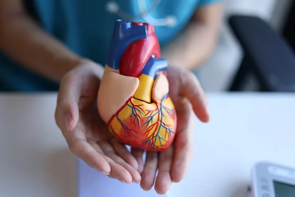 NICE Recommends Bayer’s Kerendia for NHS Use in Heart Failure — Final Guidance Expected August 2026