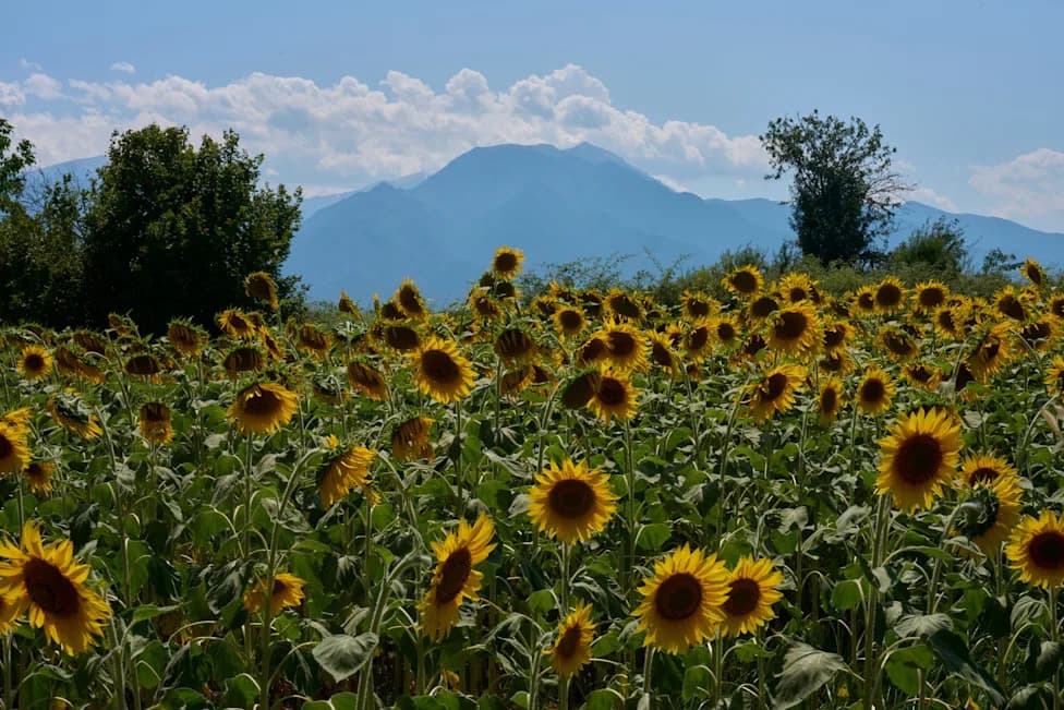 Mount Olympus Nominated For UNESCO World Heritage Status — Myth, Culture And Nature Unite