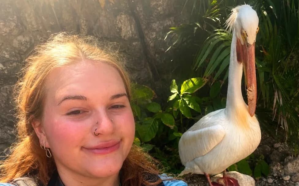 Gap-Year Placements Cancelled After Global Vision International Enters Liquidation — Students Left Out Of Pocket