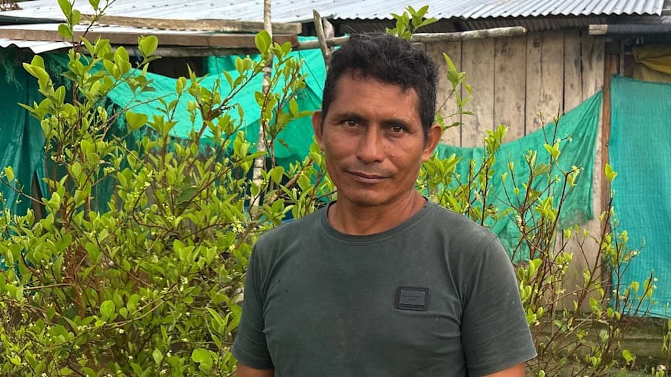 He Quit Coca — Then Went Back: Why Colombia’s Crop-Substitution Efforts Keep Failing
