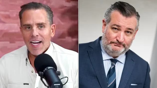 Hunter Biden Calls Ted Cruz 'Really Kinky' On Podcast, Names Hawley And Johnson As Top 'MAGA Laptops' Picks