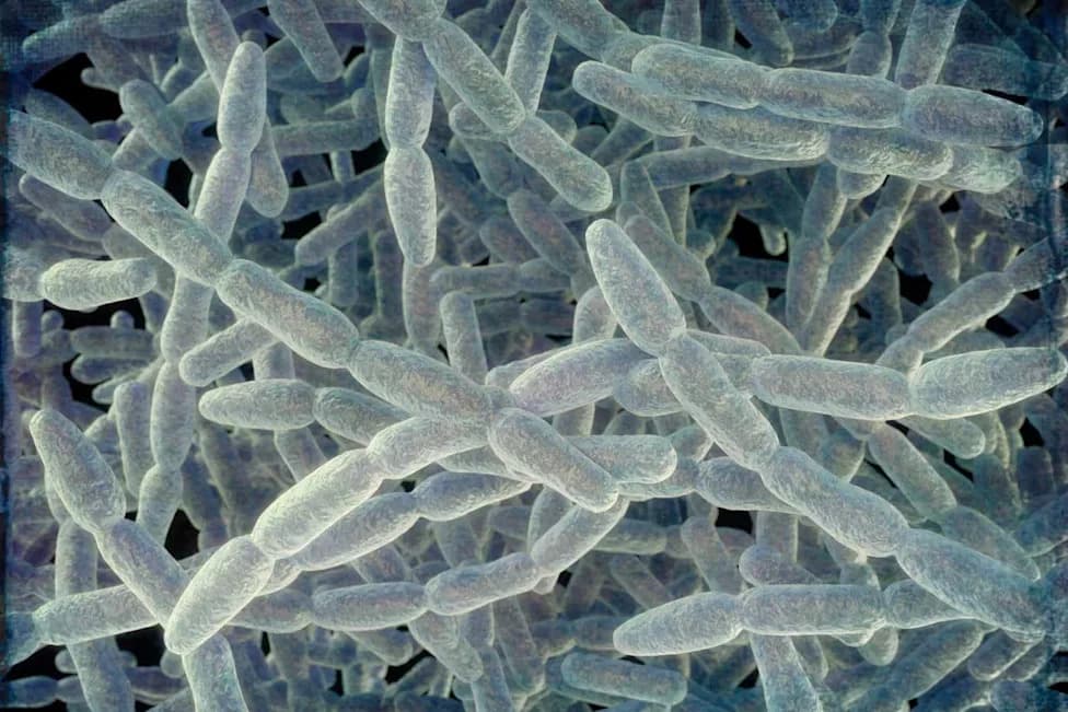 Third Death Confirmed as Legionnaires' Outbreak Sickens 74 on NYC’s Upper East Side