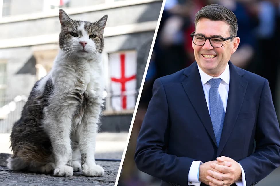 Larry the Cat Greets Andy Burnham as He Becomes UK Prime Minister — 15 Years at 10 Downing Street