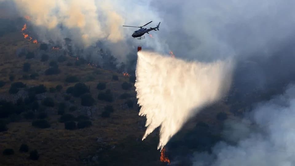 Grisly Tactic: Cats Allegedly Used With Burning Rags To Spread Wildfires In Southern Italy