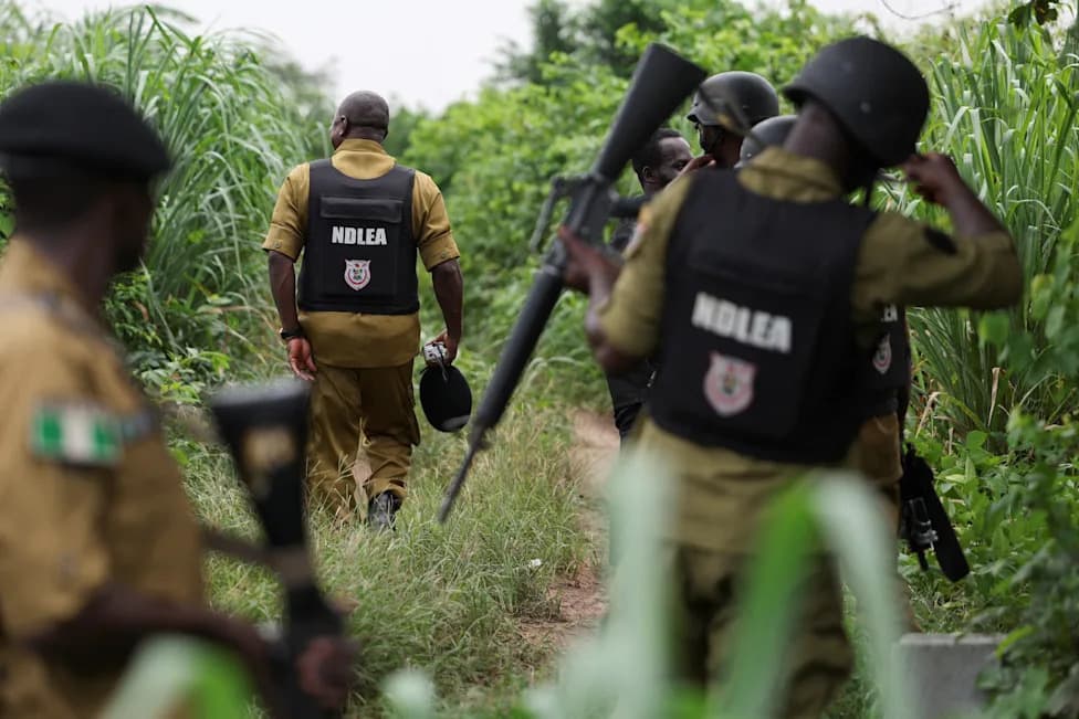 More Than 20 Killed in Zamfara Village Attacks as Kidnapping Crisis Deepens