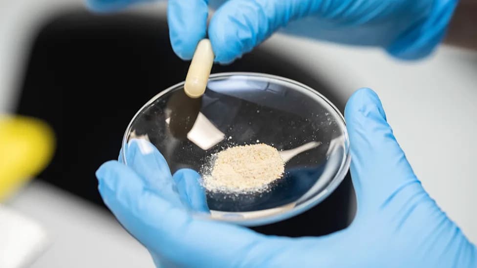Heat-Killed Bacteria Supplement Qi601 May Trap Microplastics Before Absorption, Early Tests Show