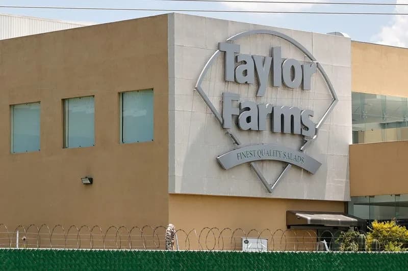 Mexico Finds No Cyclospora in Taylor Farms Lettuce Samples After Plant Inspection