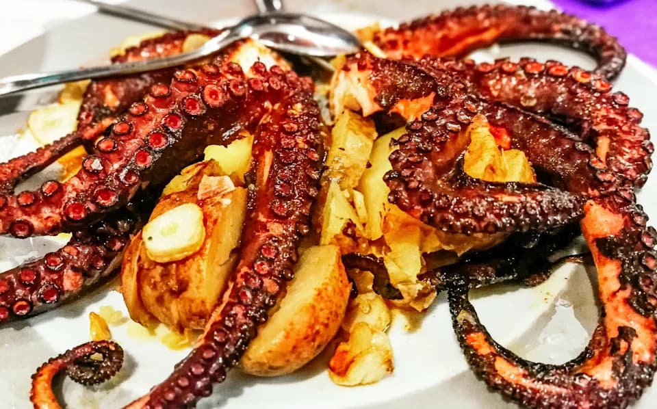 Octopus Farm Plans Scrapped After Outcry Over Proposed 'Ice Slurry' Freezing Method