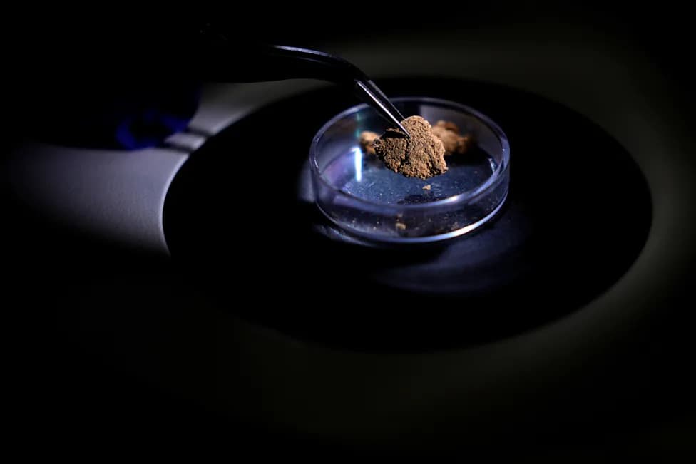 Brazil’s "Gold Lab": Forensic Science Traces Illicit Amazon Mining and Mercury Pollution