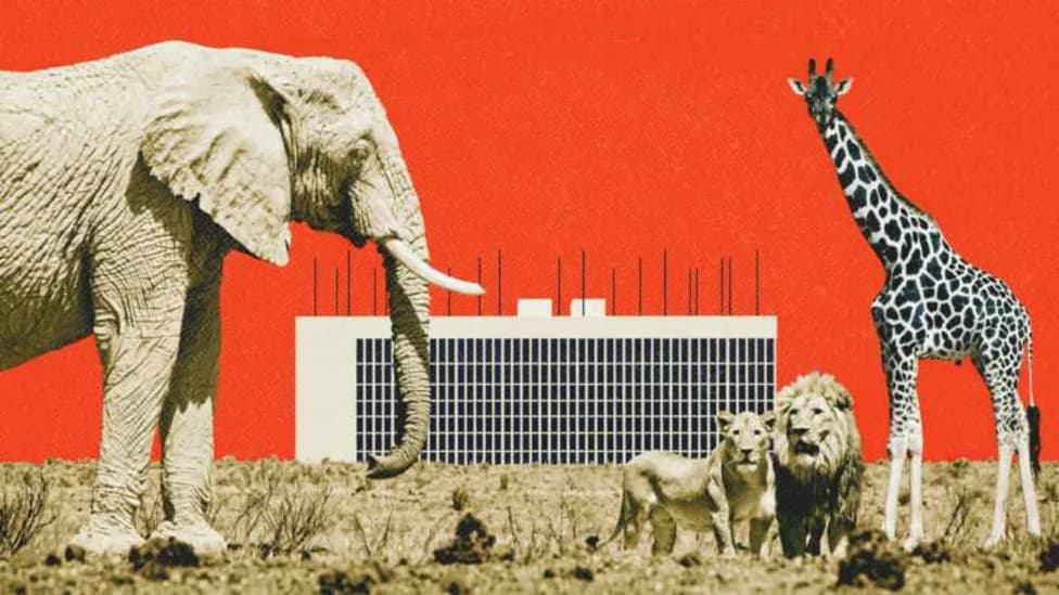 Nashville Weighs Eminent Domain To Block Data Center Near Zoo Over Noise Concerns