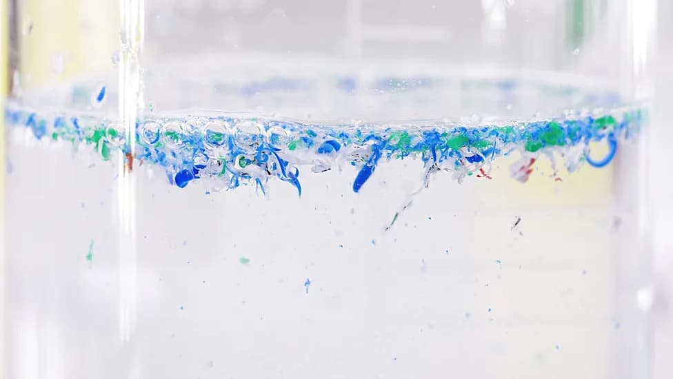 Engineered ‘Living Plastic’ Self-Destructs in Six Days — No Microplastics