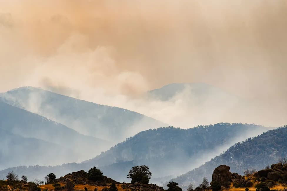 Nearly 60,000 Evacuated as Wildfires Encircle Madrid; State Of Emergency Declared