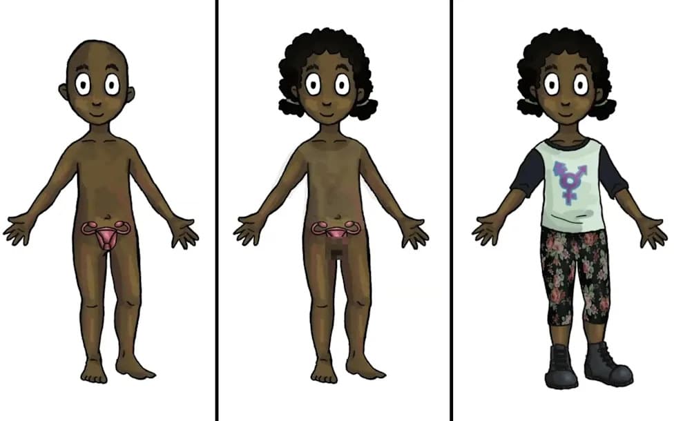 Minnesota Plans Distribution Of Gender-Diverse Dolls For Children Aged 4–10 — Program Draws Praise And Criticism