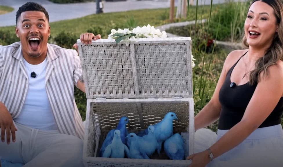 Bright Blue Doves Released Near Arizona’s Salt River for Gender Reveal Draw Fierce Backlash